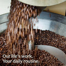 Don Francisco's Hawaiian Hazelnut Coffee Pods, Medium Roast, 100ct